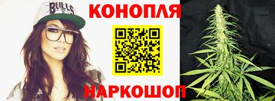 гашик Бузулук