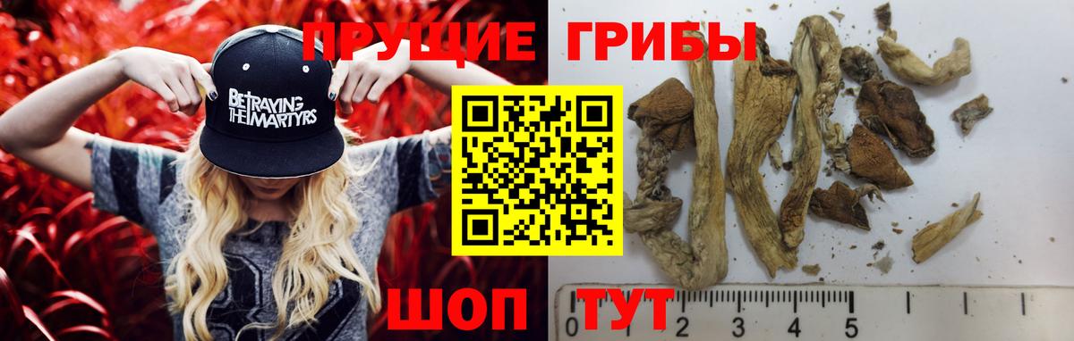 Галлюциногенные грибы мухоморы Новоалтайск